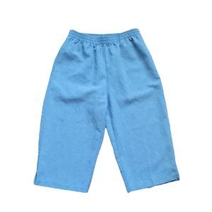 BonWorth Pull On Shorts ~ Sz S ~ Blue ~ High Rise ~ 16.5" Inseam ~ Elastic Waist